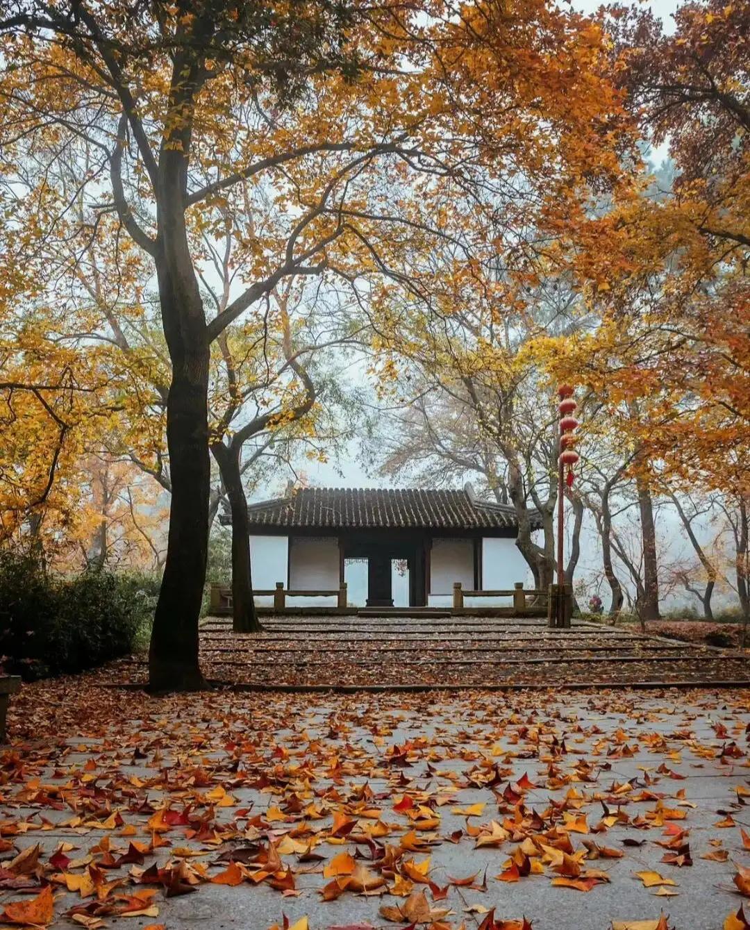 苏州秋季旅游最值得去的地方,苏州赏秋一日游攻略