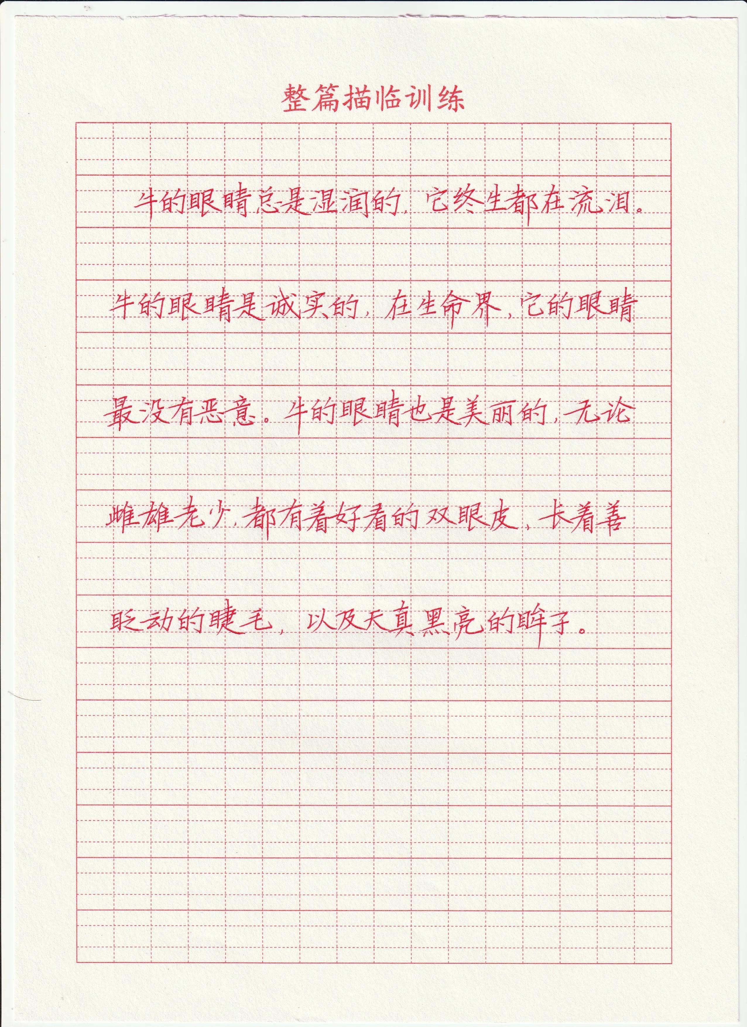 高考写字快速又漂亮楷书,硬笔楷书中高考语文知识清单