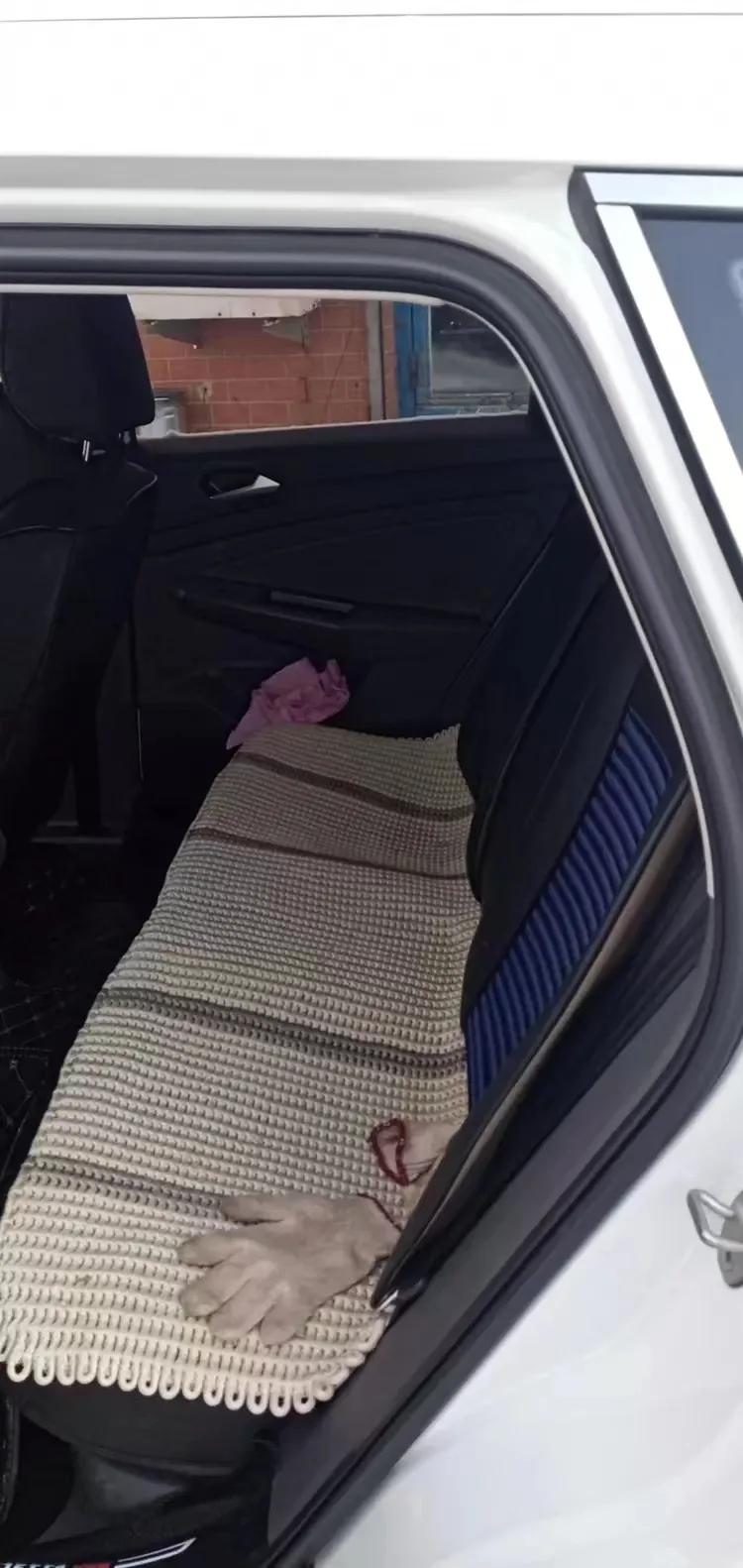 剧好听的歌综艺,剧好听的歌完整版