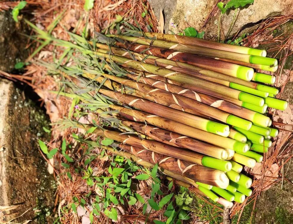 老年人别太节俭多补充这几种食物,建议中老年别太节俭多吃这五种菜