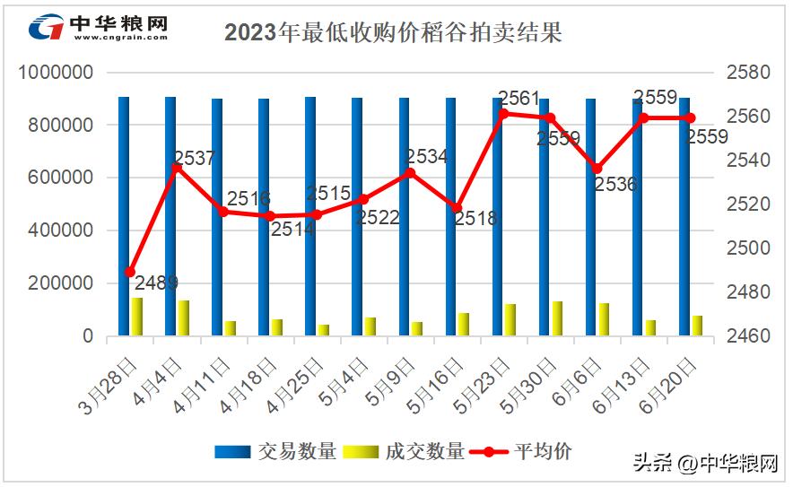稻米产业提质增效方法,水稻产业促乡村振兴