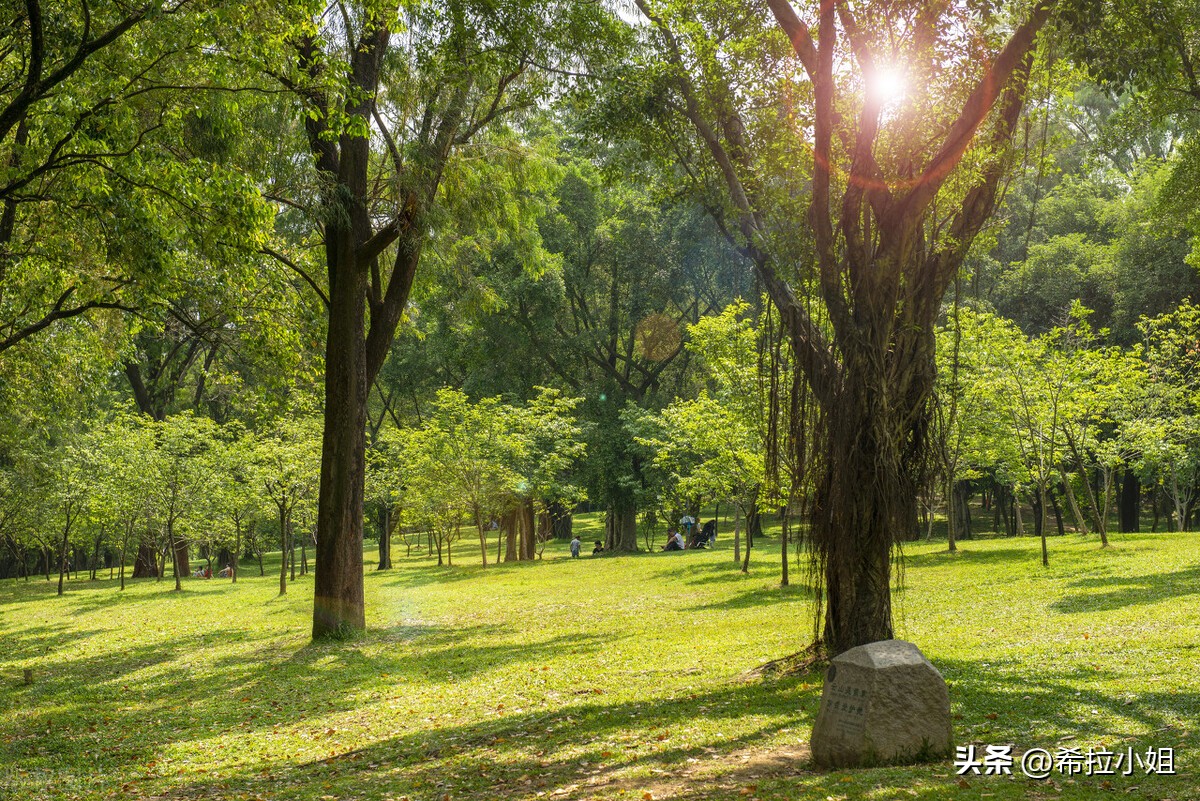 广州旅游：来广州一定要去的14个景点，你都打卡了吗？（上篇）