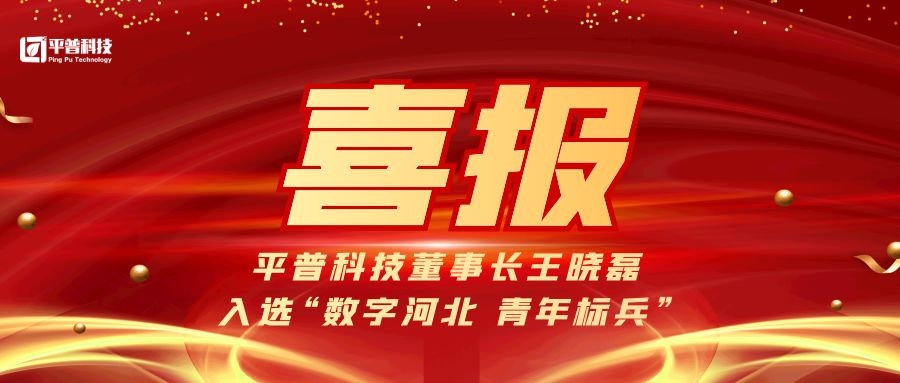 河北平普科技有限公司董事长王晓磊入选“数字河北·青年标兵”