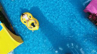 聚龙小镇：离城不离尘的心灵