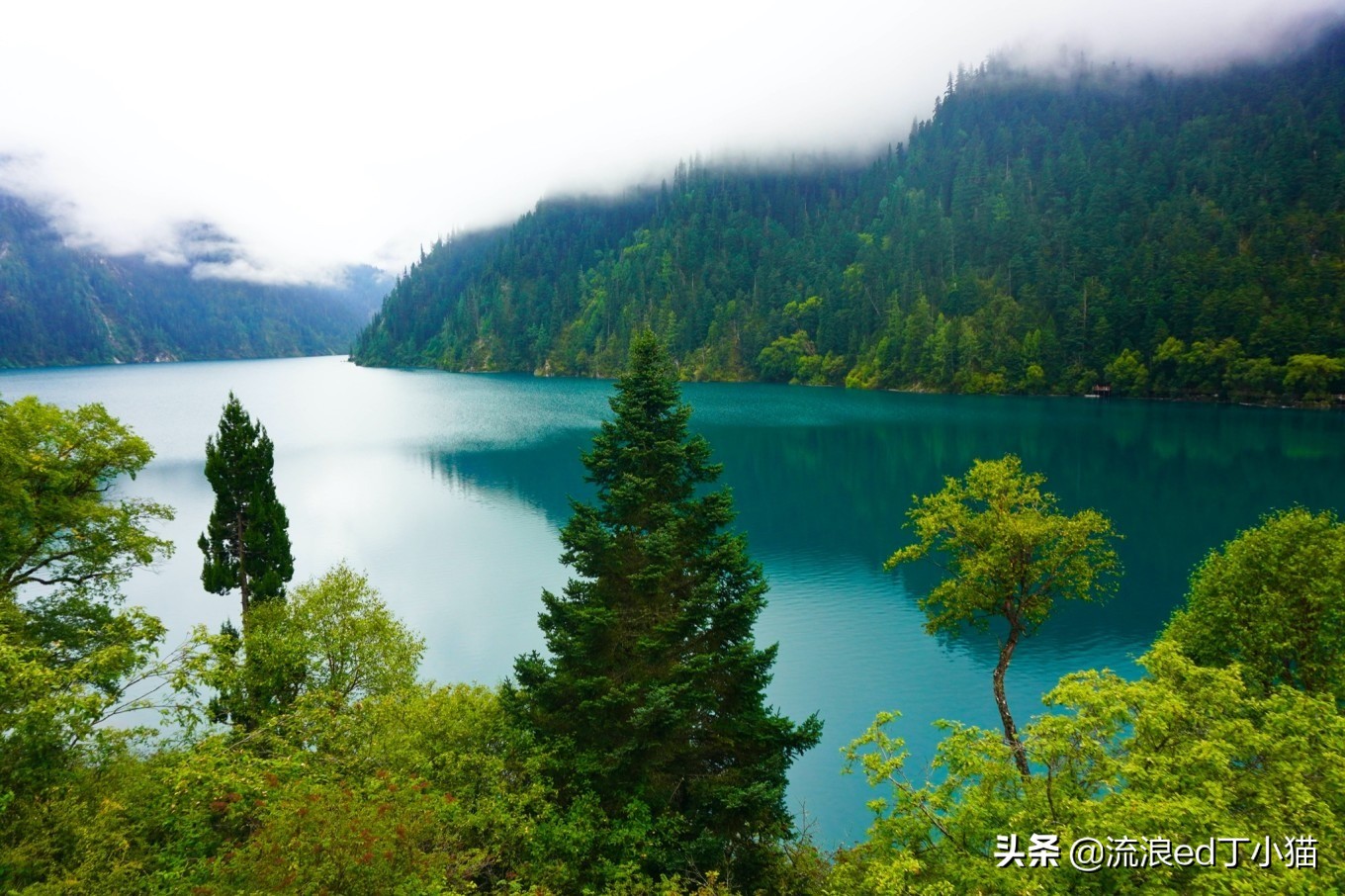 九寨沟里最美酒店,九寨沟顶级风景酒店