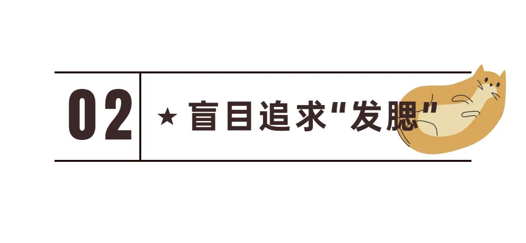 新手常见的害猫行为,养猫注意预防哪些疾病