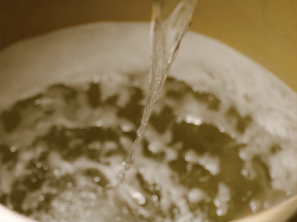 中科院微生物研究所白逢彦,中科院微生物研究所食用菌种