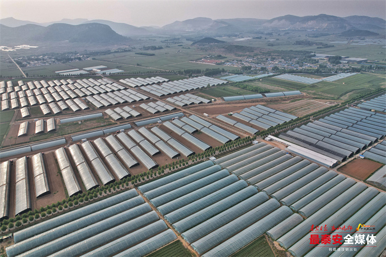 实现乡村振兴良好开局新闻,谱写乡村全面振兴新篇章新闻