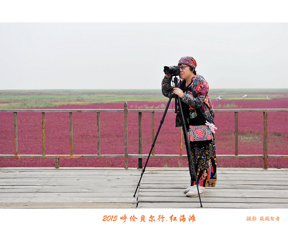 辽宁盘锦红海滩免费旅游攻略,内蒙古足迹旅行