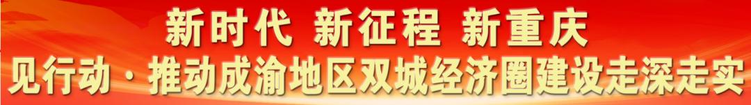 服务|最全最实用！小科抖手把手教你变成“金凤凰”