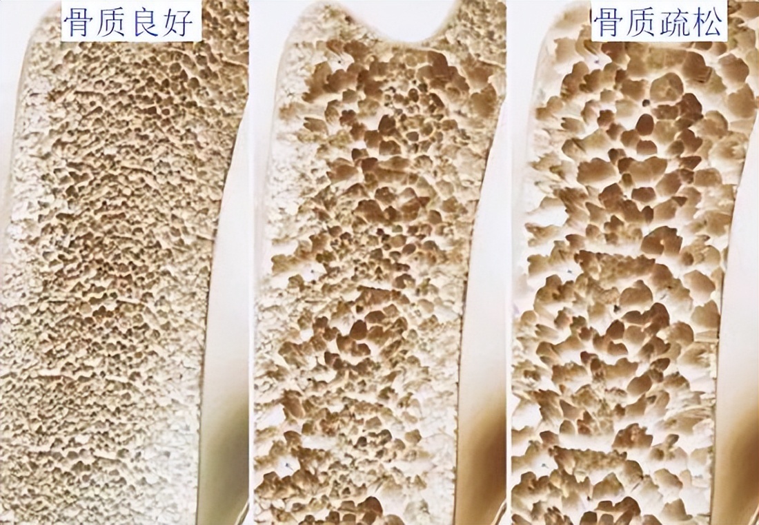 孩子学游泳教学视频,孩子学游泳的最佳时间