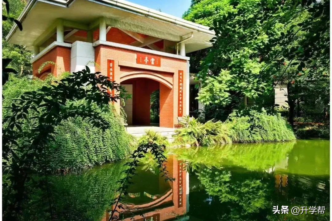 今年夏天，我们“艺”起到成都七中！