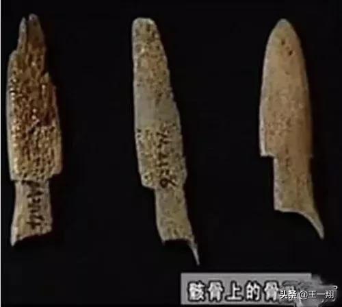 挖出来500年前的女尸,8000年前的古墓女尸