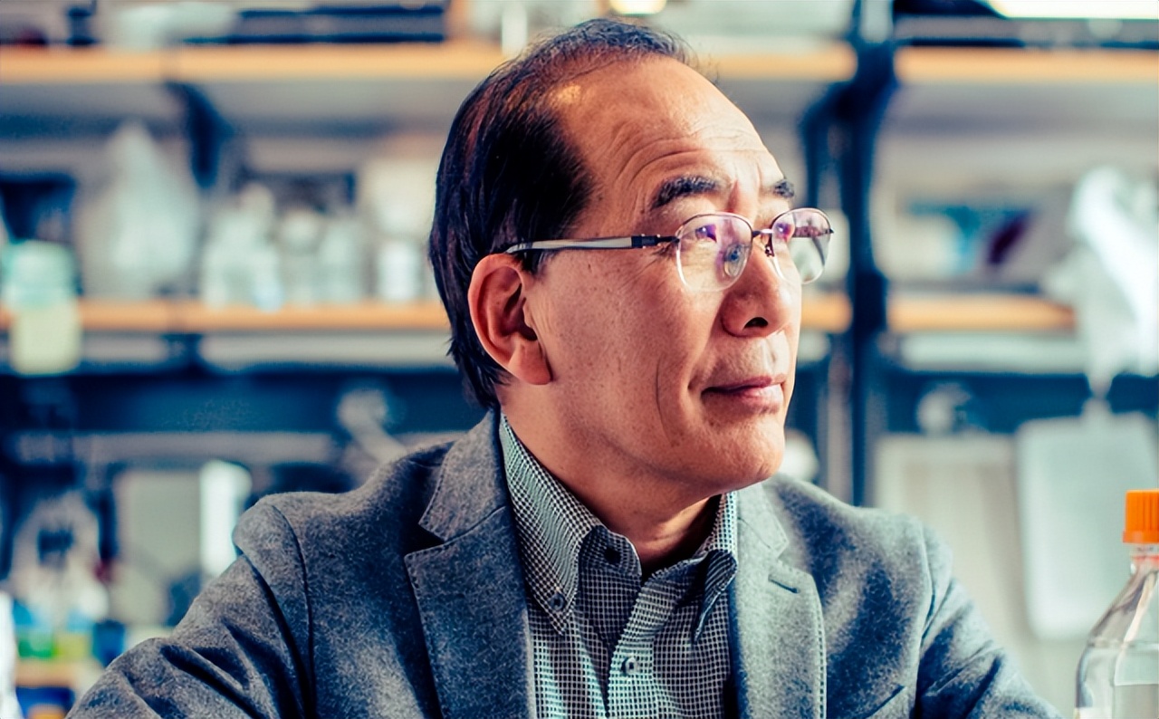 人类动物能混血吗,人类真的能杂交吗