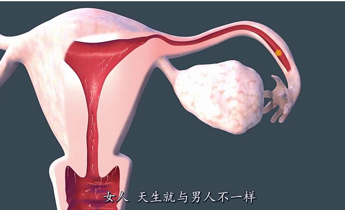 没有子宫的女人，会影响“行事”吗？研究发现：满意度反而提高了
