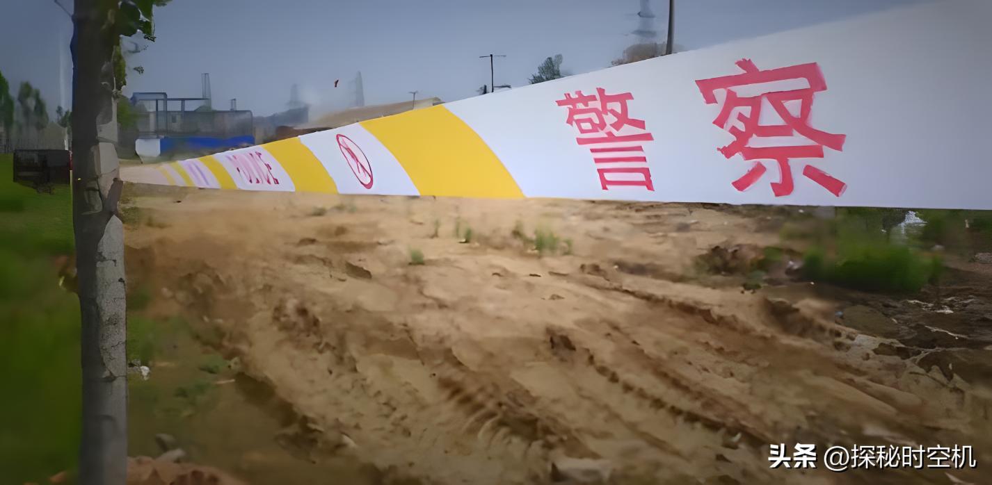 2014年，桃木枝戳穿*体下**？河北女子死状诡异，求爱日记本藏杀机