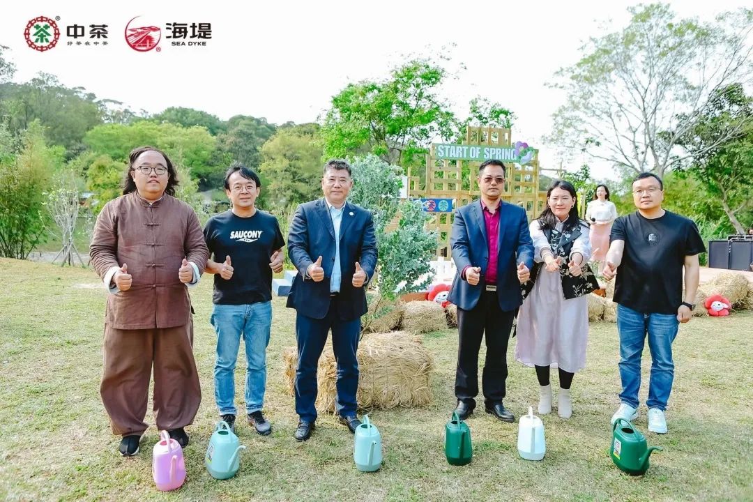 春茶产品营销策略分析,春茶营销