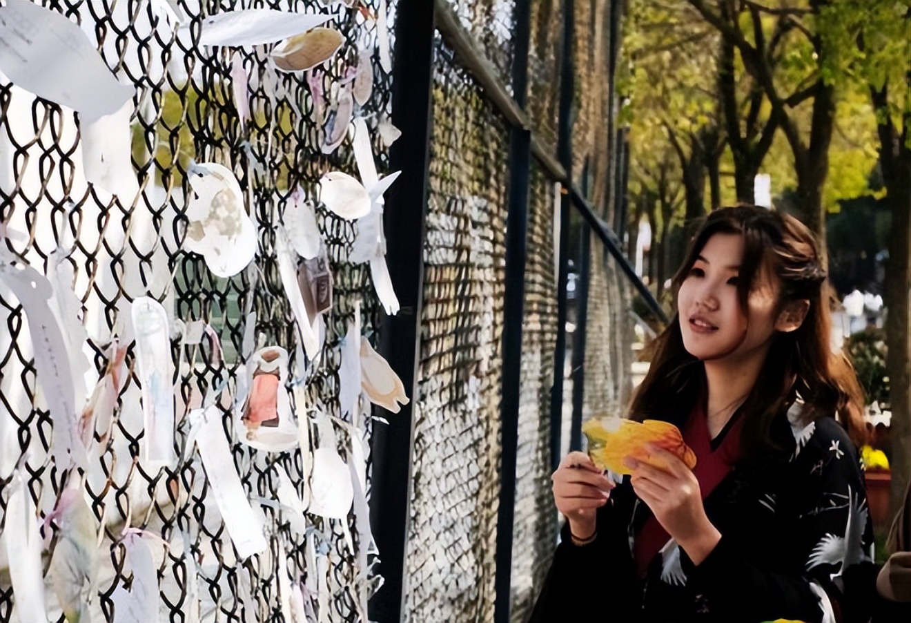 男孩被室友表白表白墙,表白墙男生暗恋室友