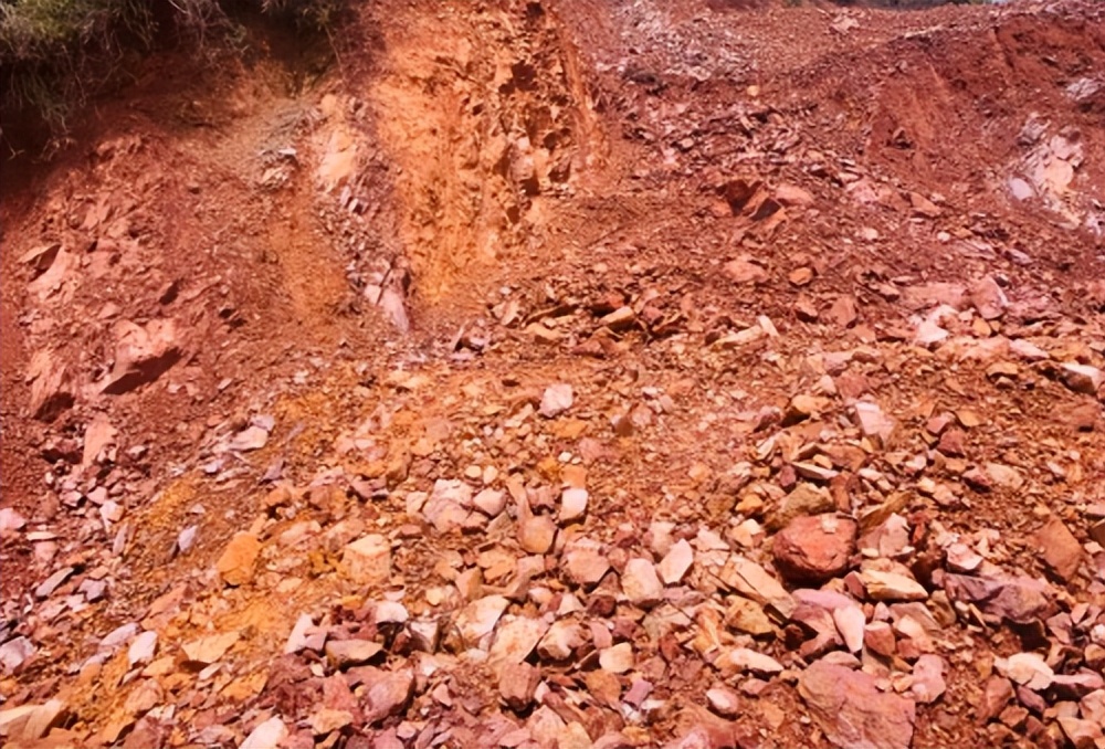 我的大柴切，居家旅行都能胜任