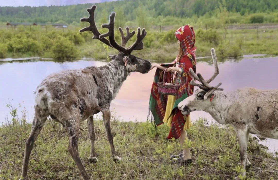 呼伦贝尔特色美食推荐,呼伦贝尔打卡美食
