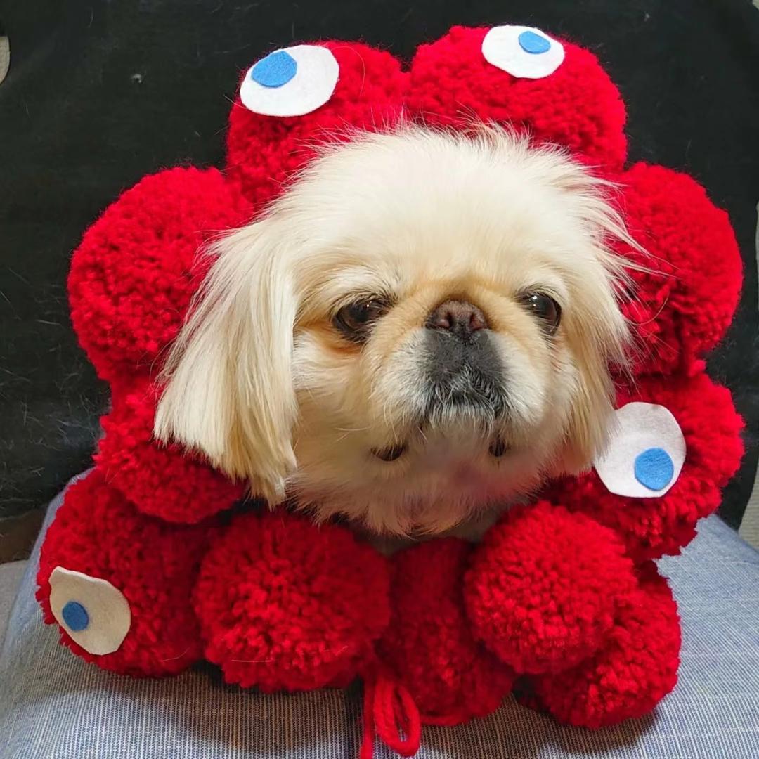 日本核废水吉祥物,日本吉祥物太夸张了