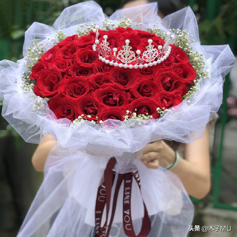 红玫瑰适合送什么人,送女朋友送红玫瑰还是粉玫瑰