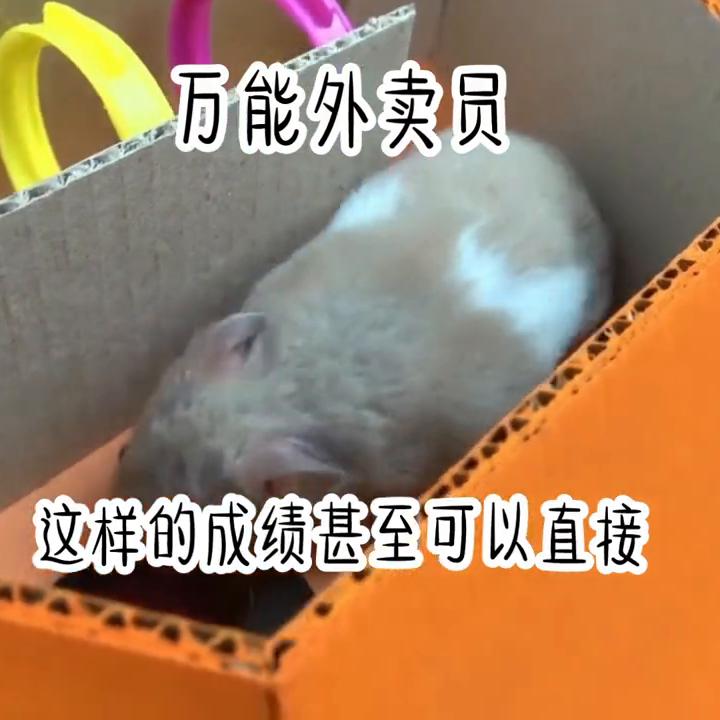 点赞量高书单,关注点赞每日更新小说