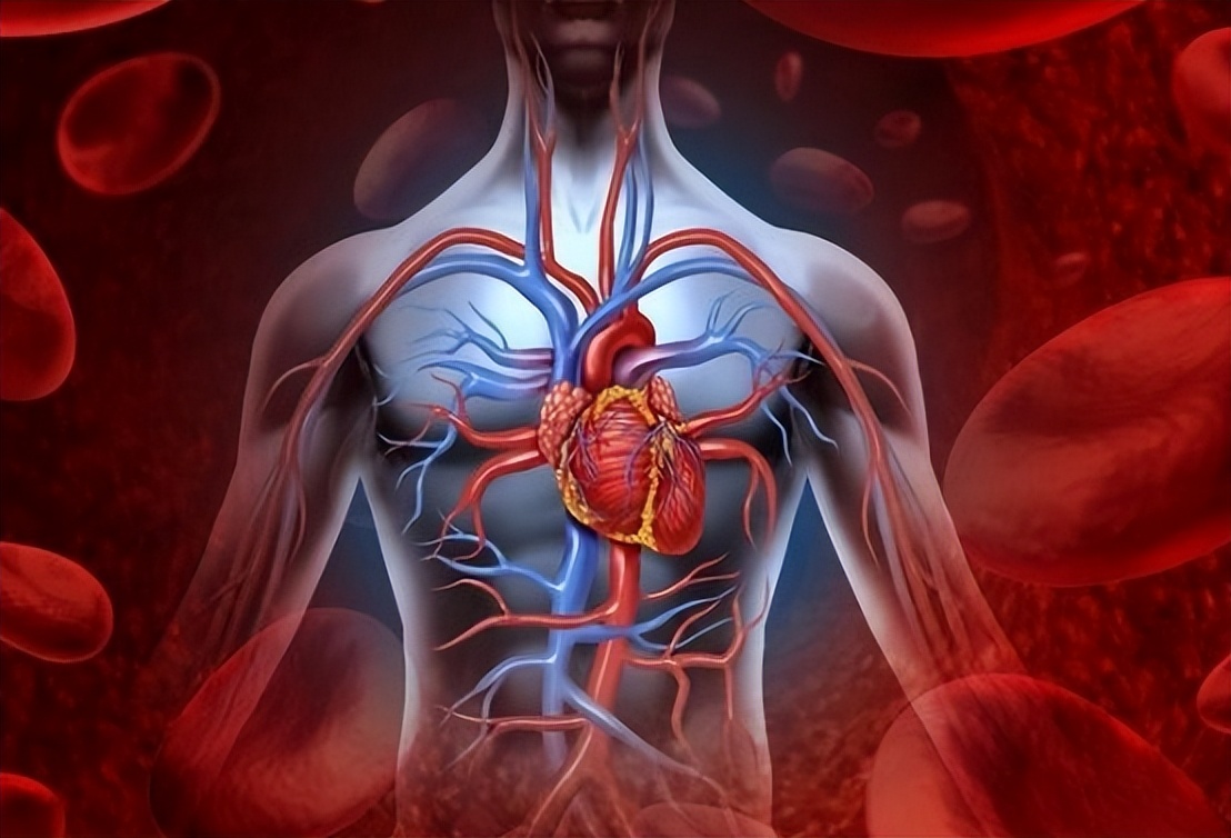 心血管疾病有哪些症状及治疗方法,心血管病有最好的治疗方法吗