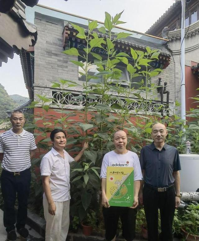 朝圣五台山后的感想,朝圣普陀山感恩观音菩萨