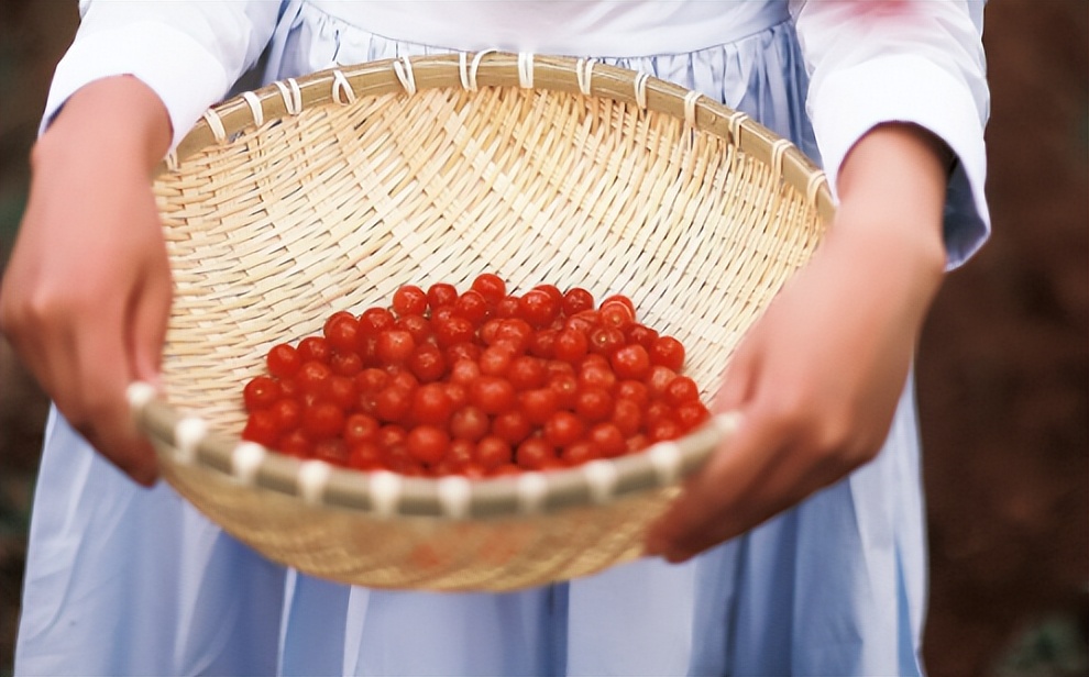 网络流行语对应的古诗词,网络流行用语对应的古诗词的意义