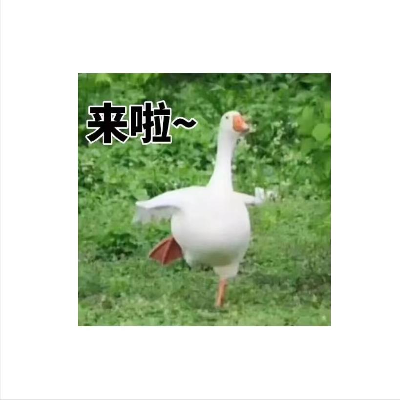 福建省工程中标公示,福建中标公告名单