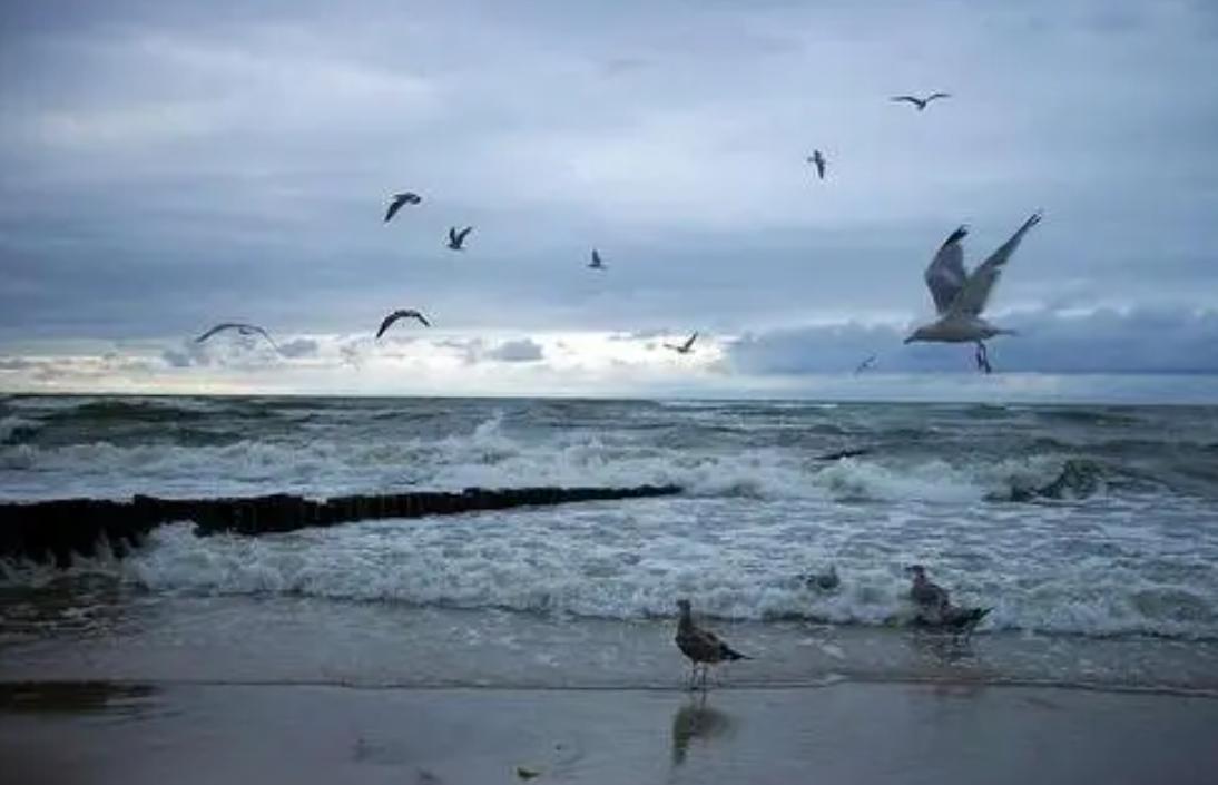 太平洋有多大视频,太平洋和大西洋面积多大