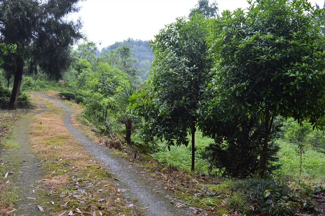 宣恩一座小城,湖北宣恩美丽的小城