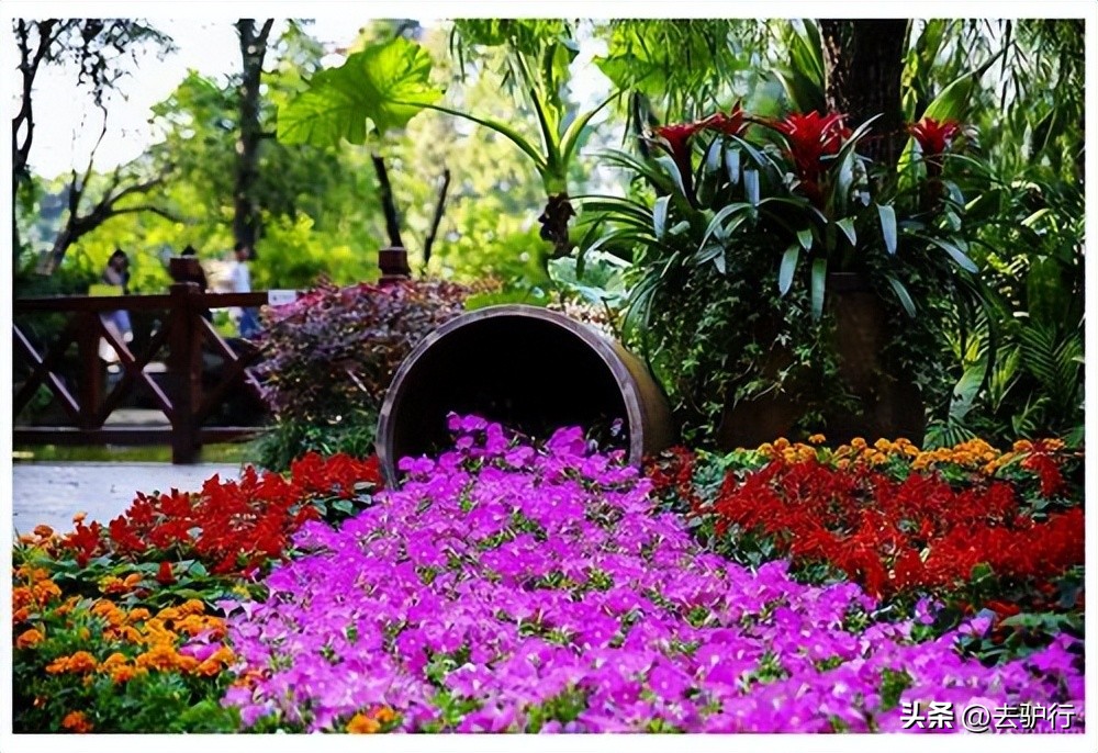 成都市十大城市公园,成都这座让大家留恋往返的城市