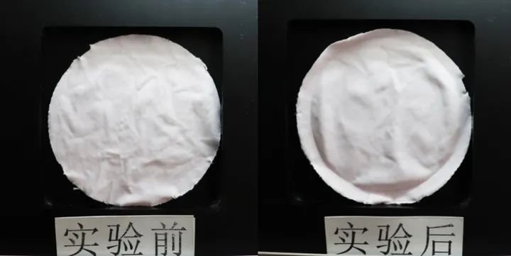 小个子女生卫裤测评春夏,春夏季平价女裤测评