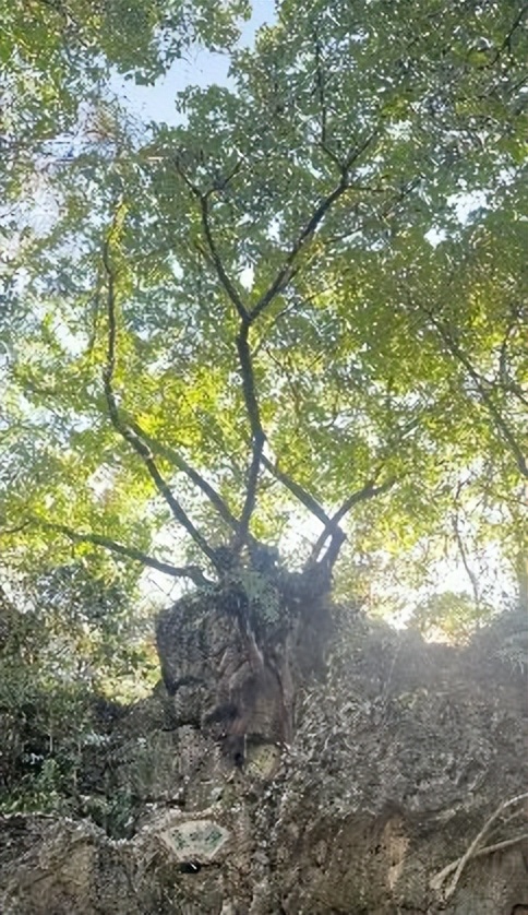 黄果树风景区一日游旅游攻略,黄果树旅游景区游览攻略