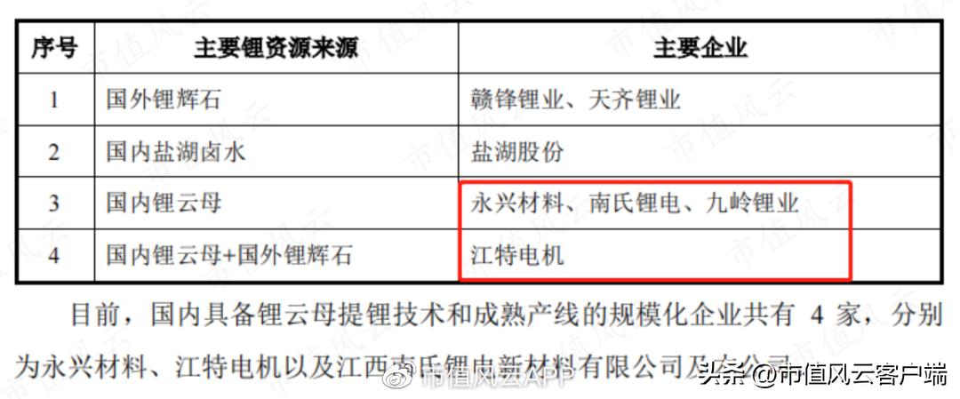江西九岭锂业上市进度,九岭锂业ipo为何终止