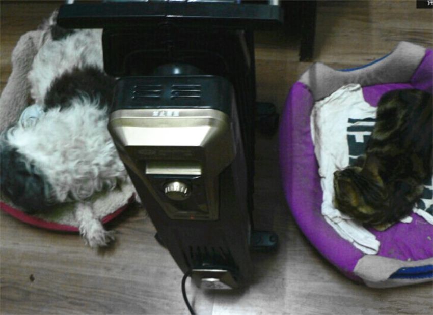 空调费电还是电油汀费电,电油汀和空调哪个费电