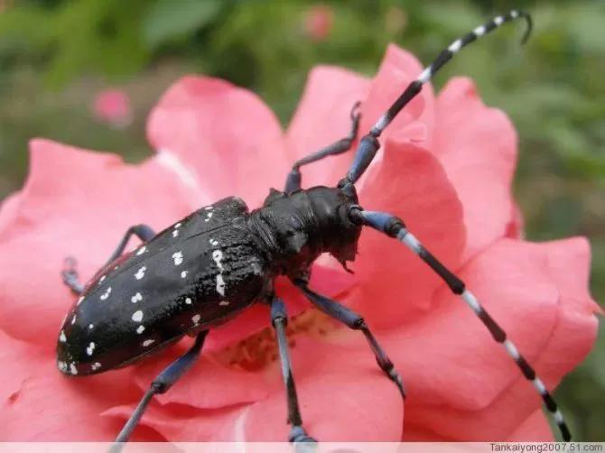 怀念90年代的回忆,80年代90年代满满的回忆