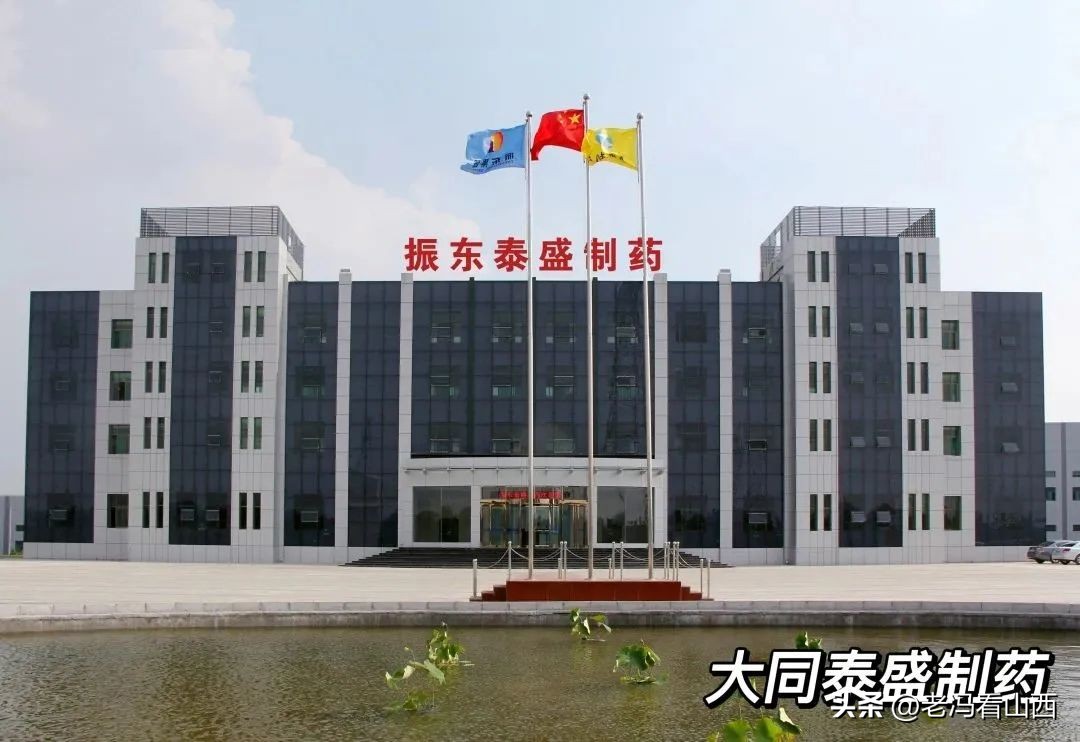 山西振东健康集团药品,振东健康产业董事长