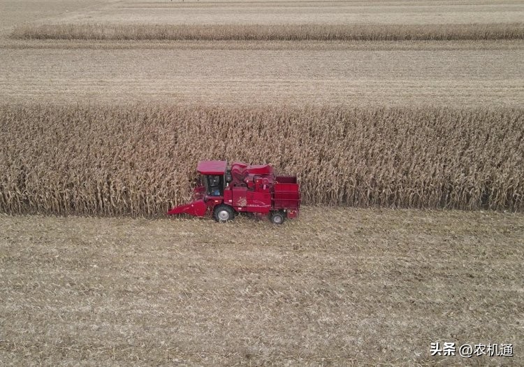 金兆月：勇猛玉米机质量可靠效率高，永远都值得信任