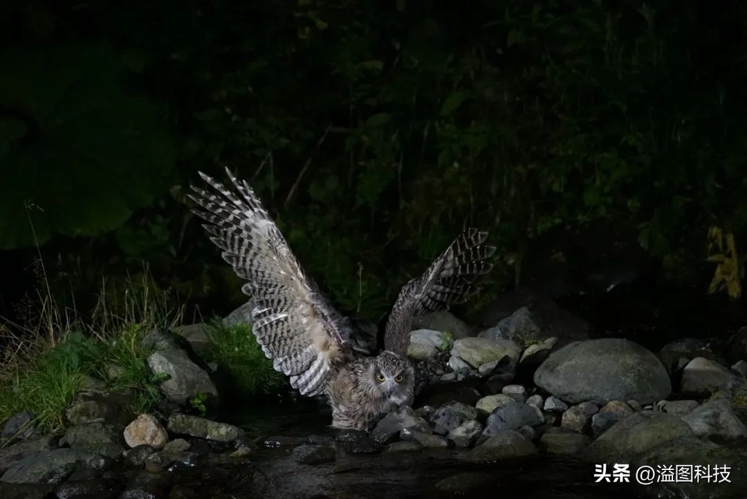 索尼微单半幅z7,索尼微单7r和7s有什么区别