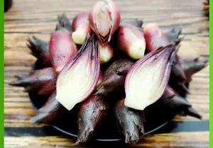 贵州人最爱的野菜你尝过几种,贵州野菜有多好吃