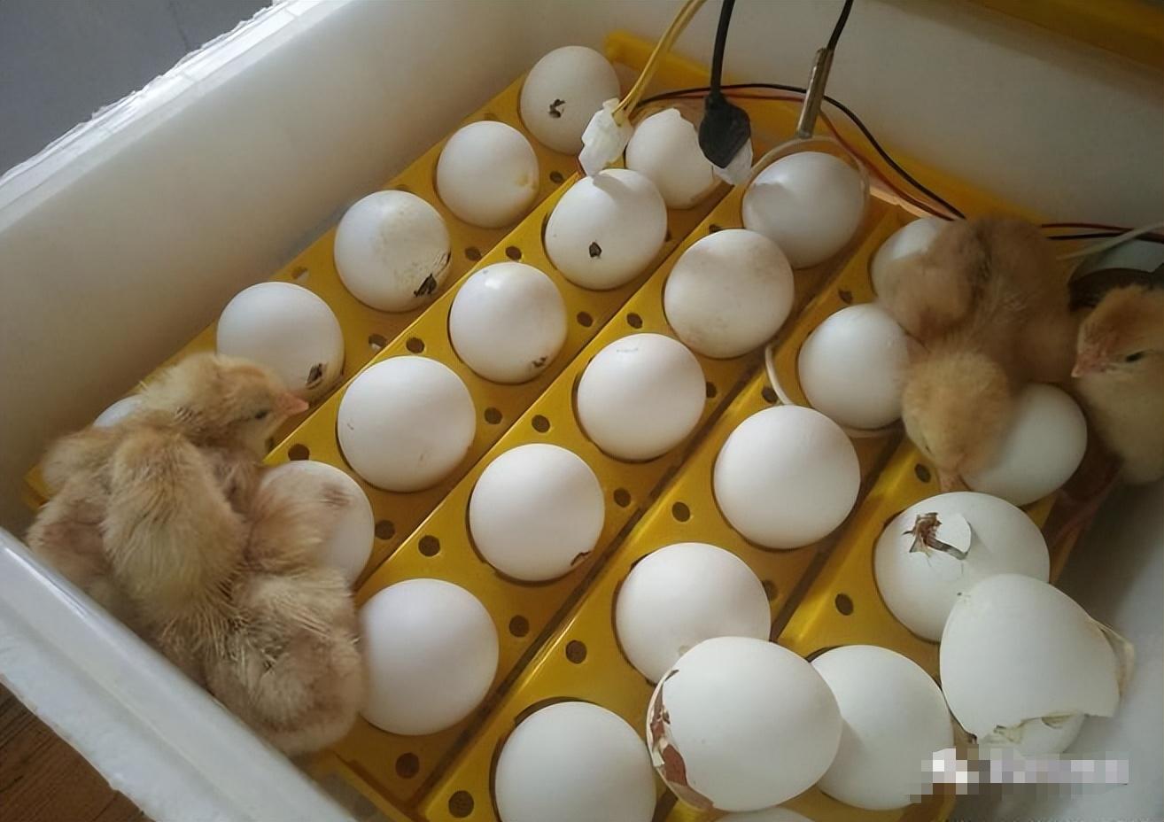 奇耻大辱！“不含中国成分”成国外进口美食标准？中国制造被嫌弃