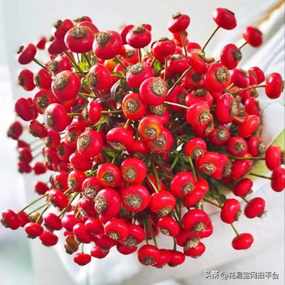 9月份红色好看的花材,颜值高的花束合集