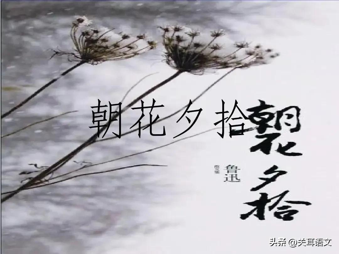 朝花夕拾名著导读琐记章教学设计,名著导读朝花夕拾教学后记