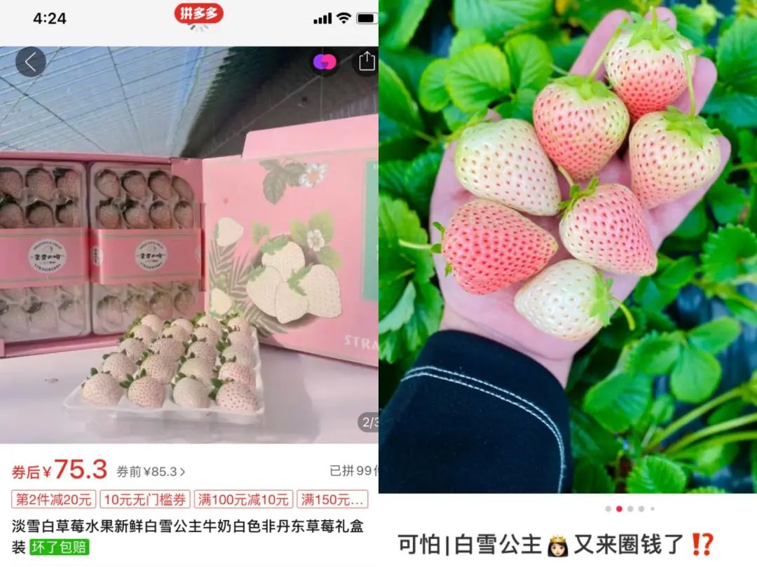 吃最贵的日本草莓,你吃过吗150元一斤的菠萝味草莓