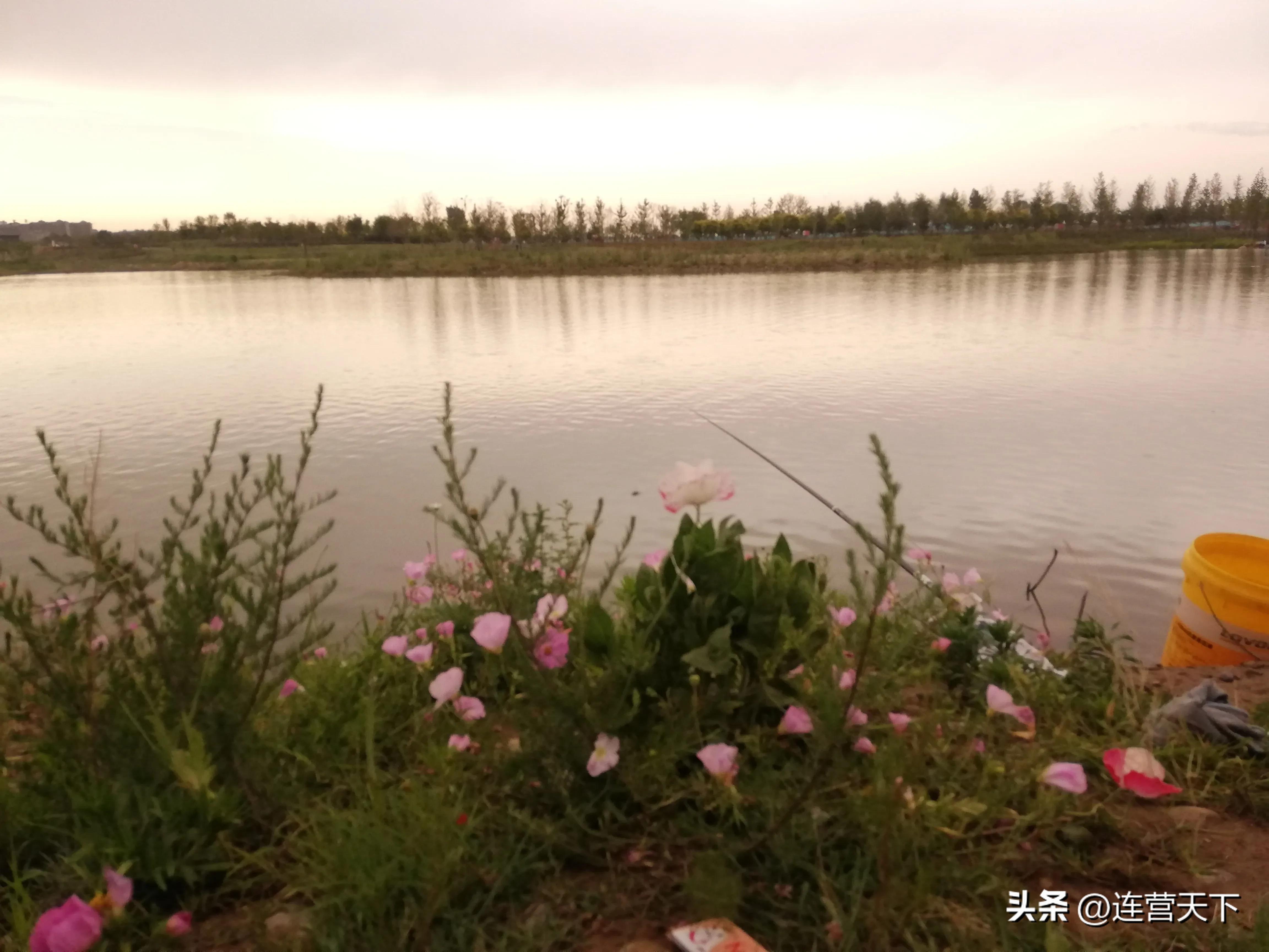 鹤壁诗句,鹤壁春节诗词