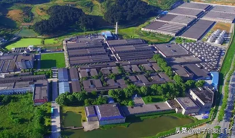 酒桌上酒实在喝不下去怎么推辞,酒桌上躲酒技巧