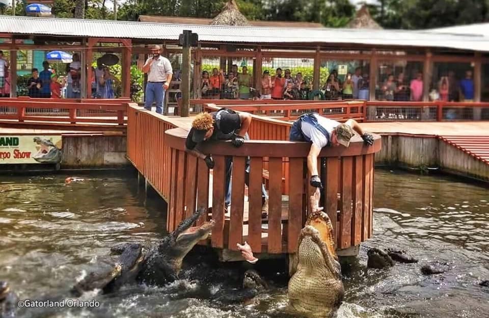 夏日游玩攻略1日游,夏日旅游攻略江浙沪